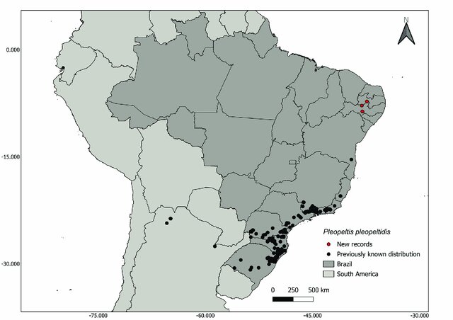 Image from article 2